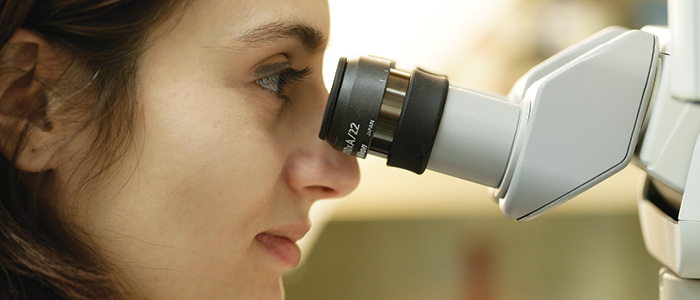 Western University, Graduate Studies - Microscope in Pathology Lab
