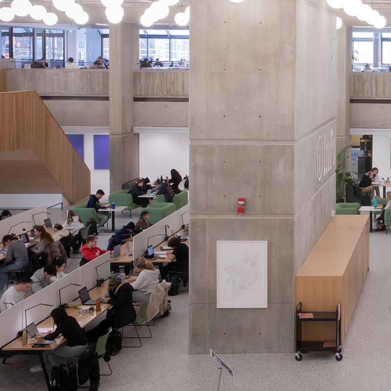Graduate students in library