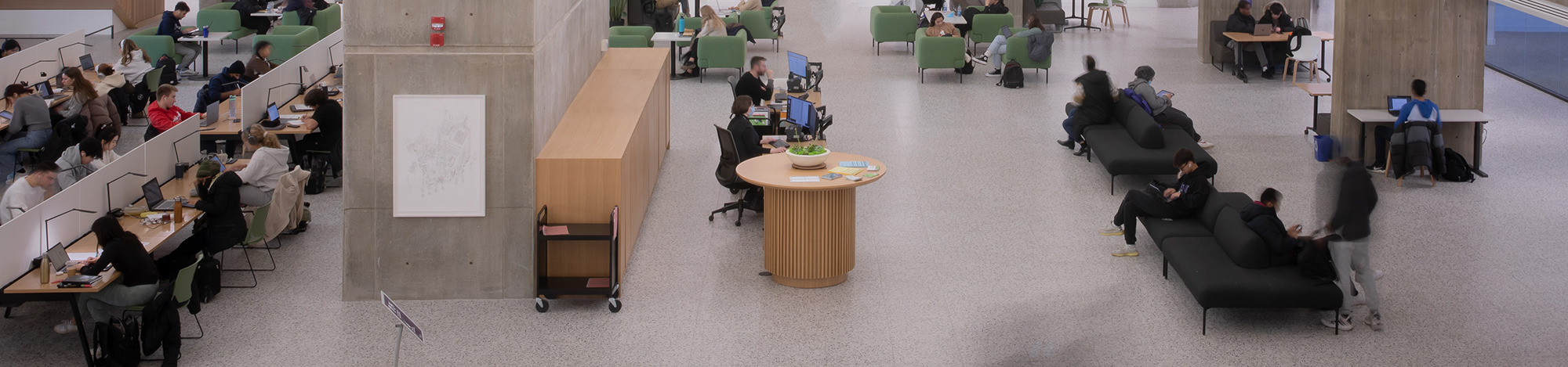 Graduate students in library