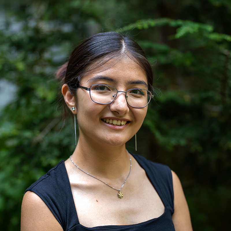 Dina Dilinaer, PhD candidate, Chemistry