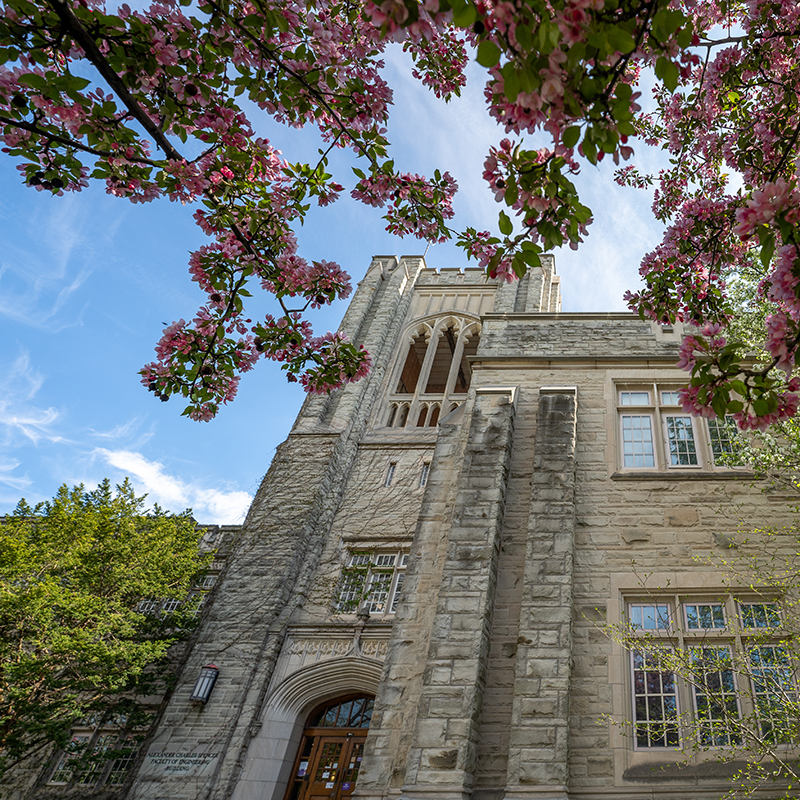 Group of postdocs